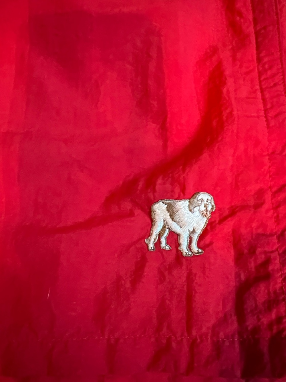 Big Dogs Red Men’s Swim Trunks - Picture 2 of 7